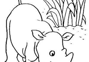 Coloriage Bébé Animaux Savane Bb Dessin Dessin Pour Chambre B B Avec Coloriage Bebe Les Beaux