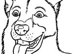 Coloriage Bébé Chien Coloriage Chien Loup A Imprimer L Meublerc