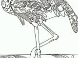Coloriage Bébé Flamant Rose 130 Best Coloring Sheets Images On Pinterest