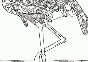 Coloriage Bébé Flamant Rose 130 Best Coloring Sheets Images On Pinterest