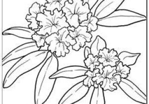 Coloriage Bébé Flamant Rose Nénuphar Idée Tatouage Pinterest