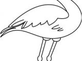 Coloriage Bébé Flamant Rose Randunica Sablon Sabloane Templates Pinterest
