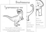Coloriage Bébé T-rex 33 Best Projecte Dinosaures Images On Pinterest