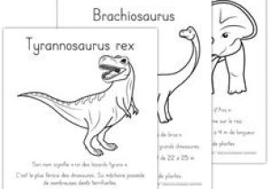 Coloriage Bébé T-rex 33 Best Projecte Dinosaures Images On Pinterest