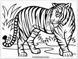 Coloriage Bébé Tigre Amazing Art Tiger Drawing Coloredl Meublerc