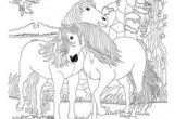 Coloriage Bella Sara Fiona M¥larbilder Bella Sara 4 M¥larbilder