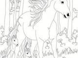 Coloriage Bella Sara Thunder Beautiful Horse Adult Coloring Book Stress Relief Designs