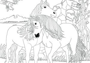 Coloriage Bella Sara Thunder Bella Sara Coloring Pages Coloring Pages Coloring Pages Coloring