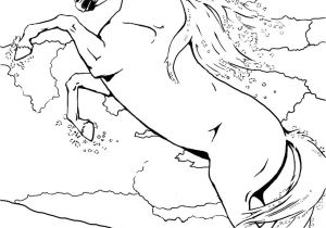 Coloriage Bella Sara Thunder Bella Sara Coloring Pages
