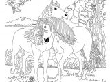 Coloriage Bella Sara Thunder Coloriage Bella Sara Chevaux