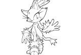 Coloriage Blaze sonic sonic Generations Coloring Pages