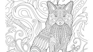 Coloriage Blé 457 Best Coloriage Vie Sauvage Images On Pinterest