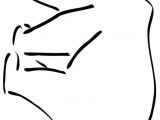 Coloriage Boucle D or A Imprimer Ours Polaire Plus Dessin Colorier Ours Blanc Ours En