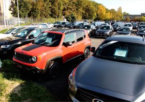 Coloriage Bouquet De Fleurs Gratuit S Bouquets De Fleurs Gratuites Luxe 25 Bouquet De