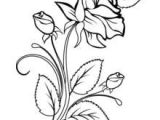 Coloriage Bouquet De Roses Dessin   Colorier Bouquet De Fleurs Nature 5