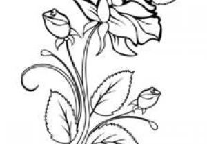 Coloriage Bouquet De Roses Dessin   Colorier Bouquet De Fleurs Nature 5