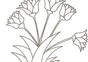 Coloriage Bouquet De Roses Dessin Facile Fleur Exotique