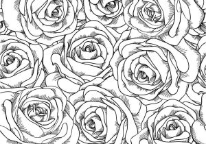 Coloriage Bouquet De Roses Pin by the Eclectic Lady On Eclectic Color Me