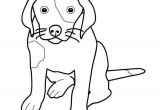 Coloriage Bouvier Bernois Bouvier Bernois A Colorier Et A Imprimer Coloriage Az Coloriage