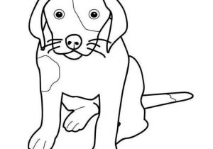 Coloriage Bouvier Bernois Bouvier Bernois A Colorier Et A Imprimer Coloriage Az Coloriage