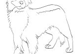 Coloriage Bouvier Bernois Coloriage Bouvier Bernois A Imprimer
