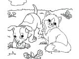 Coloriage Bouvier Bernois Coloriage Chiot Gratuit Imprimer Coloriage Bouvier Bernois A