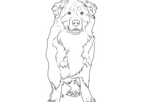 Coloriage Bouvier Bernois Coloriage   Imprimer Un Bouvier Bernois