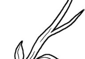 Coloriage Branche D Arbre Arbres Et Feuilles Avec Branche Seule Nb Et Arbre Dessin