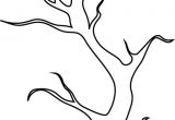 Coloriage Branche D Arbre Coloriage Arbre Branche