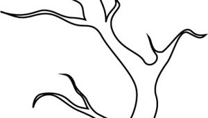 Coloriage Branche D Arbre Coloriage Arbre Branche