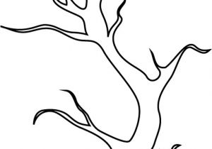 Coloriage Branche D Arbre Coloriage Arbre Branche