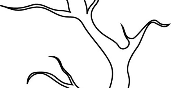 Coloriage Branche D Arbre Coloriage Arbre Branche