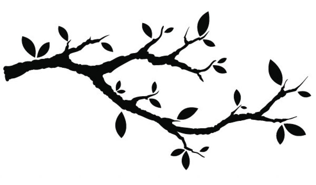 Coloriage Branche D Arbre Dessin D Arbre A Imprimer Gallery Avec Et