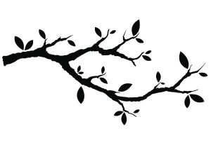 Coloriage Branche D Arbre Dessin D Arbre A Imprimer Gallery Avec Et Dessin Branche D