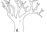 Coloriage Branche D Arbre Dessin D Arbre A Imprimer Gallery Avec Et Dessin Branche D