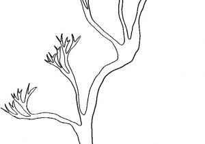 Coloriage Branche D Arbre Dessin D Arbre A Imprimer Gallery Avec Et Dessin Branche D