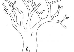 Coloriage Branche D Arbre Dessin D Arbre A Imprimer Gallery Avec Et Dessin Branche D