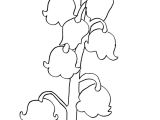Coloriage Brin De Muguet A Imprimer Brin De Muguet Az Coloriage