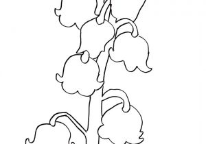 Coloriage Brin De Muguet A Imprimer Brin De Muguet Az Coloriage