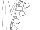 Coloriage Brin De Muguet A Imprimer Brin De Muguet Az Coloriage