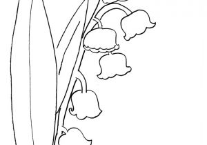Coloriage Brin De Muguet A Imprimer Brin De Muguet Az Coloriage