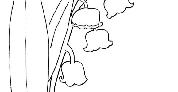 Coloriage Brin De Muguet A Imprimer Brin De Muguet Az Coloriage