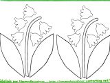 Coloriage Brin De Muguet A Imprimer Brins De Muguet   Colorier Et   Découper