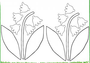 Coloriage Brin De Muguet A Imprimer Brins De Muguet   Colorier Et   Découper