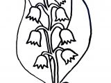 Coloriage Brin De Muguet A Imprimer Coloriage Muguet Disney Gratuit