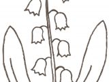 Coloriage Brin De Muguet A Imprimer Dessin Fleur  Colorier