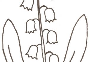 Coloriage Brin De Muguet A Imprimer Dessin Fleur  Colorier