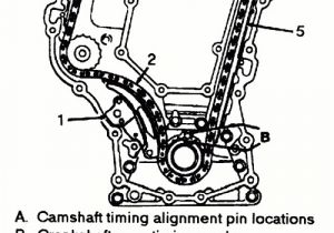 Coloriage Bumblebee à Imprimer Wiring