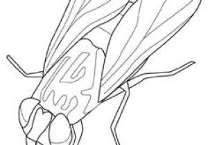 Coloriage Buzz L éclair A Imprimer Gratuit Ant Silhouette Vector Graphics Pinterest