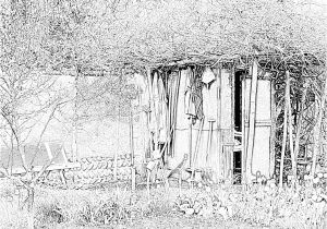 Coloriage Cabane De Jardin Coloriage Tn La Cabane De Jardin à Imprimer Pour Les